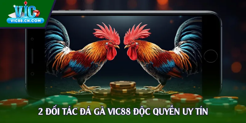 2 đối tác đá gà Vic88 độc quyền uy tín