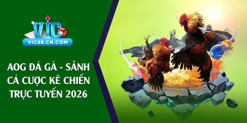 aog đá gà