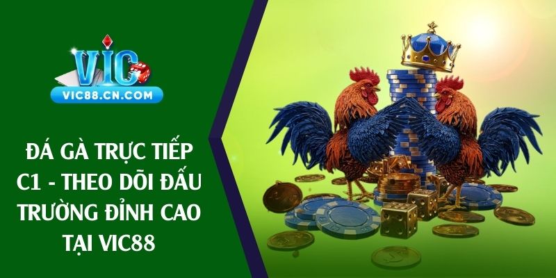 đá gà trực tiếp C1