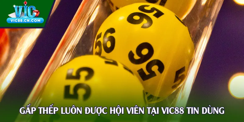 Gấp thếp luôn được hội viên tại Vic88 tin dùng