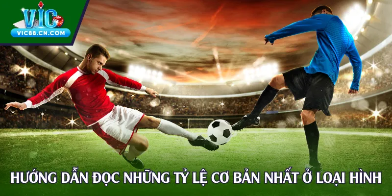 Hướng dẫn đọc những tỷ lệ cơ bản nhất ở loại hình