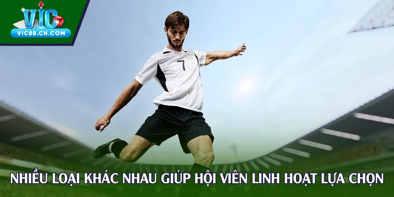 Nhiều loại khác nhau giúp hội viên linh hoạt lựa chọn