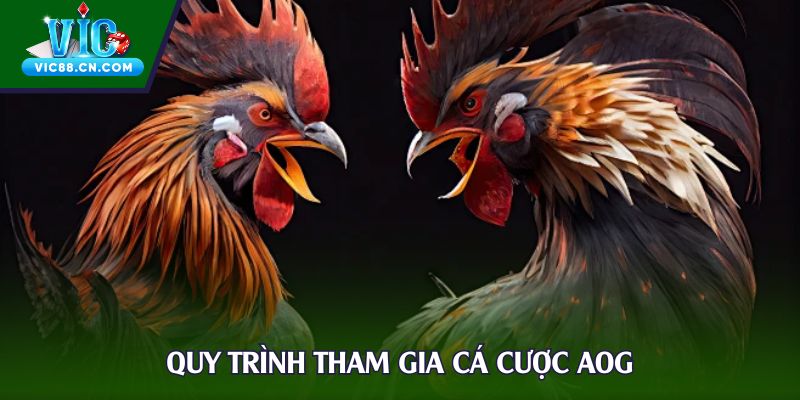 Quy trình tham gia cá cược AOG