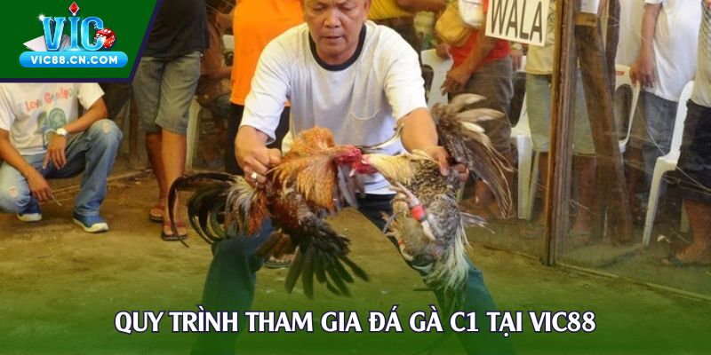 Quy trình tham gia đá gà C1 tại Vic88