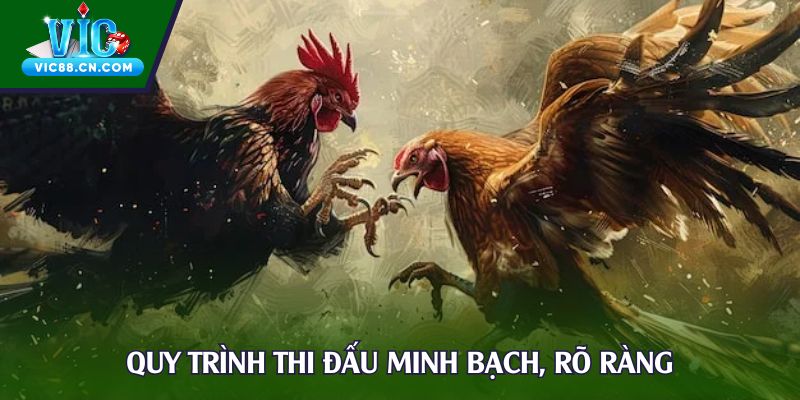 Quy trình thi đấu minh bạch, rõ ràng
