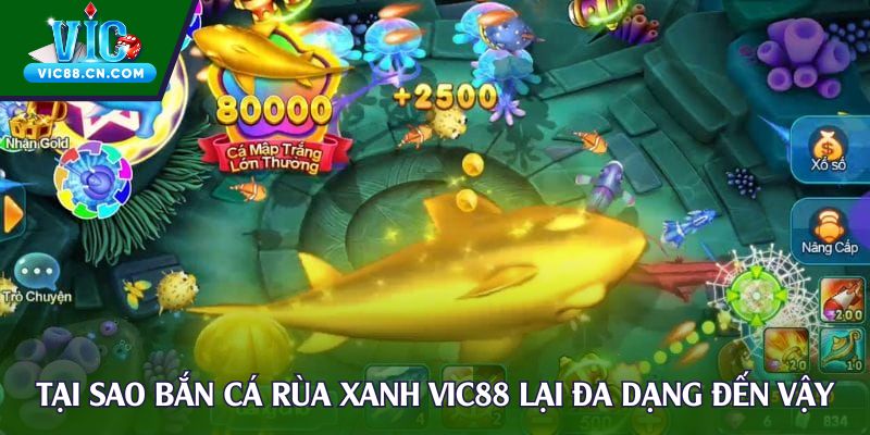 Tại sao bắn cá rùa xanh Vic88 lại đa dạng đến vậy