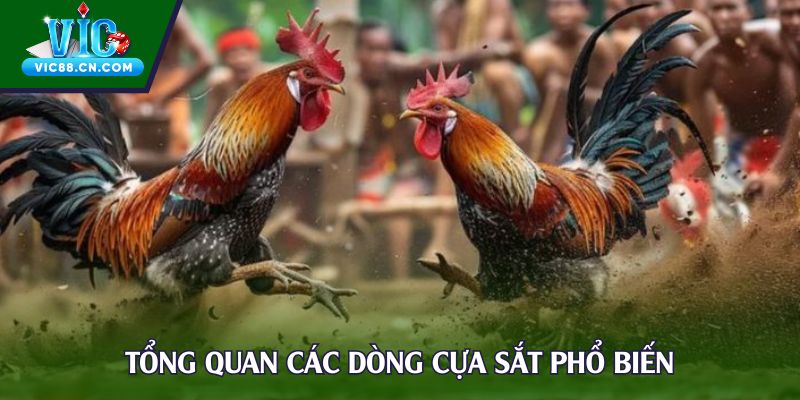 Tổng quan các dòng cựa sắt phổ biến